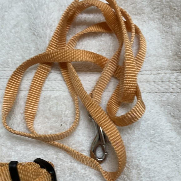 Harness with leash in gold/yellow NWOT - Picture 6 of 8